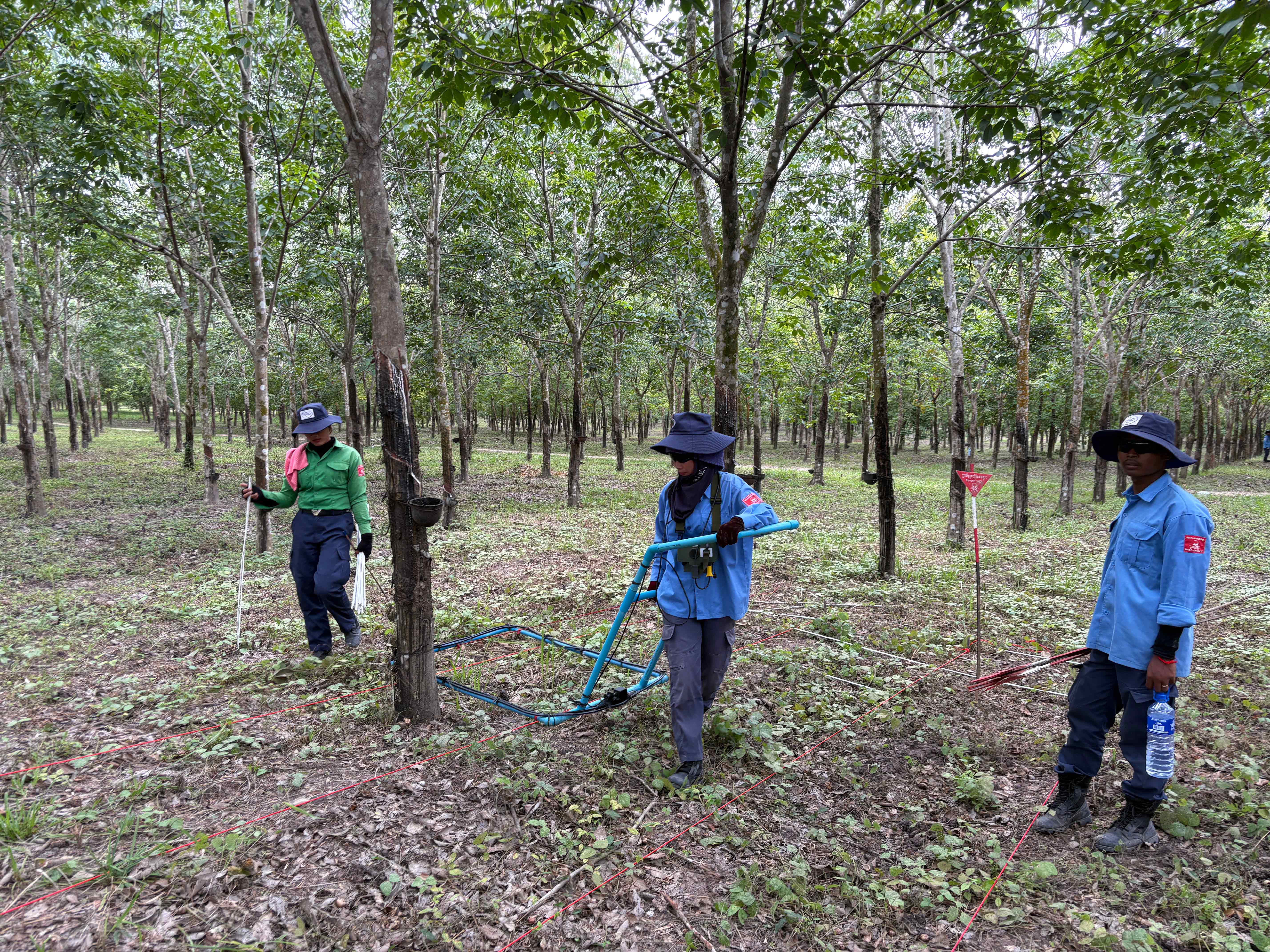 Andoung-Lngieng-Agriculture-2-10765-3-1