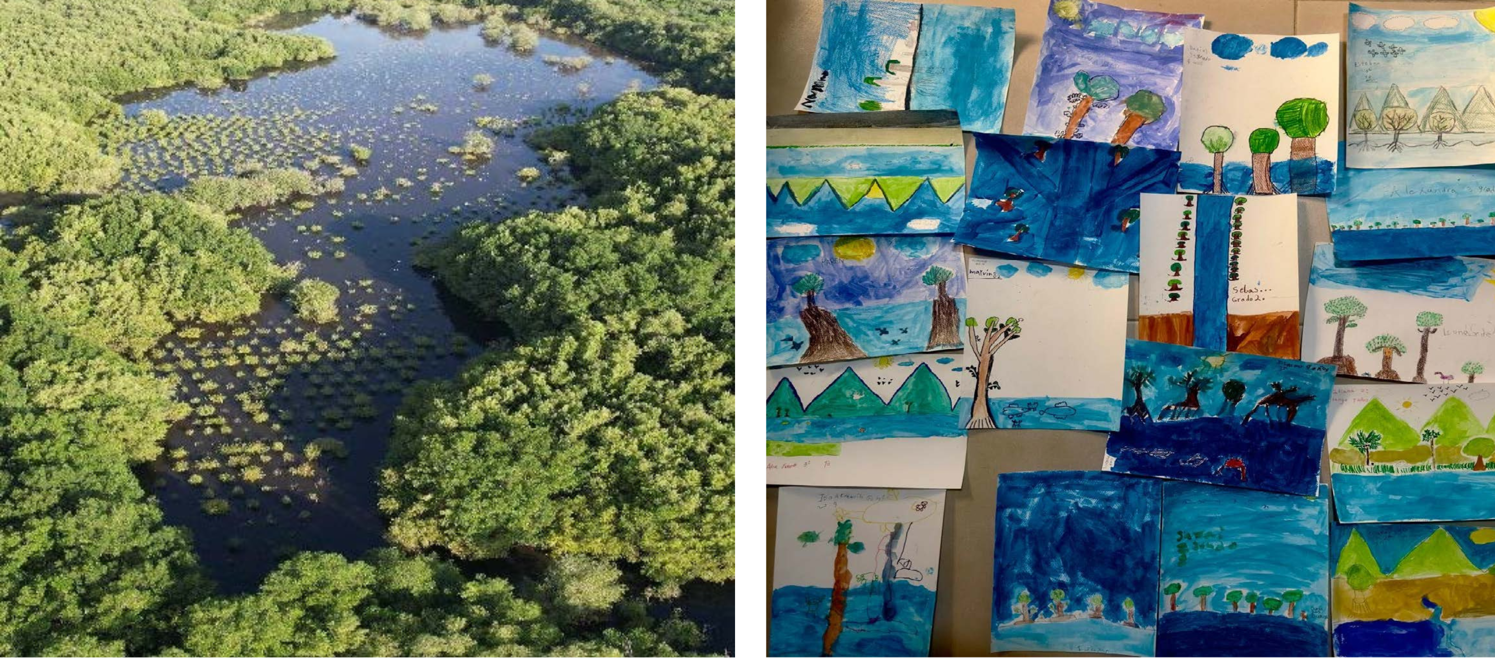 Mangrove-restoration-in-El-Salvador