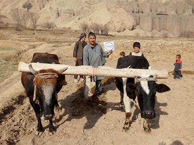 Link to UK Aid Helps Families Rebuild in Afghanistan