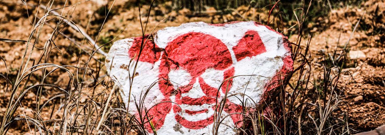 A rock painted with a skull and crossbones lies on the ground near explosive contamination in Syria