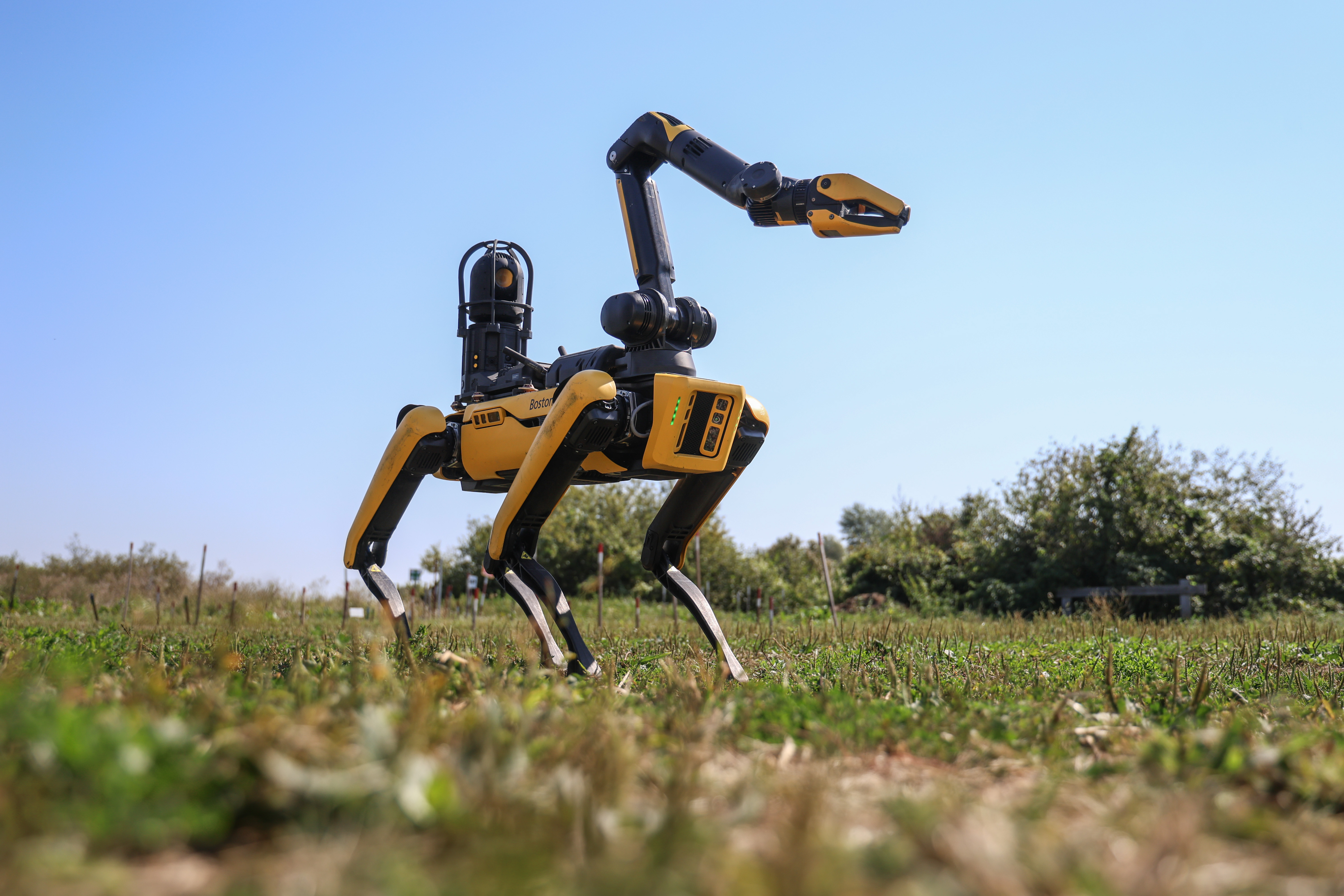 Demining robot, known as Spot the Dog, at the Pukhiva training ground in Ukraine