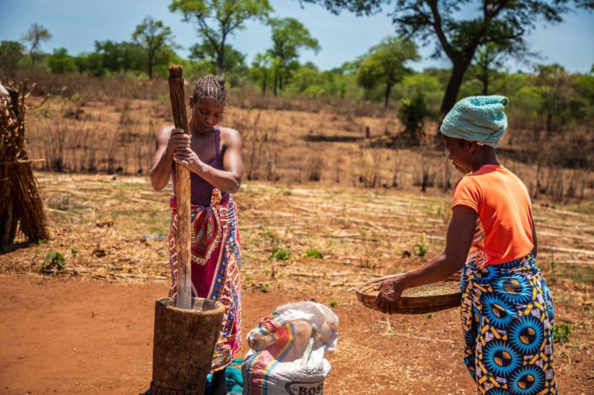 Zimbabwean villagers grind a crop outside of their homes