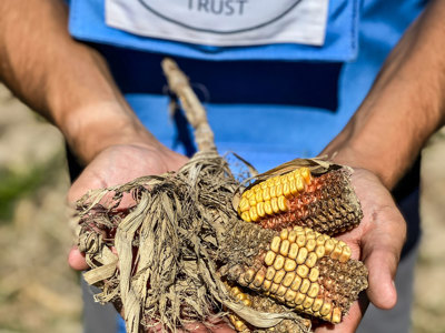 Link to Clear landmines to rebuild Ukraine and feed the world