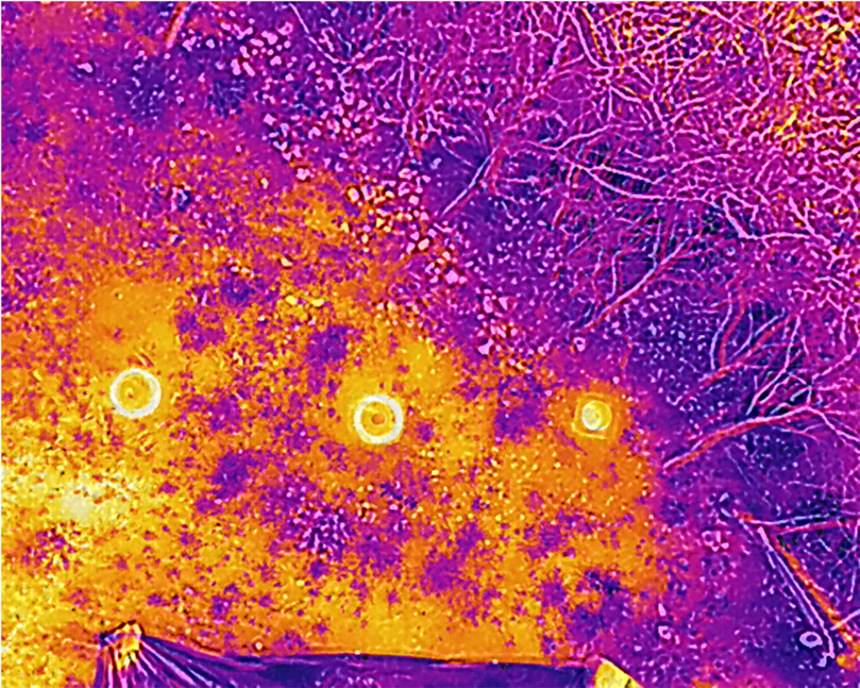 Thermal image showing detection of landmines