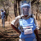 Link to https://www.gov.uk/government/organisations/department-for-international-development