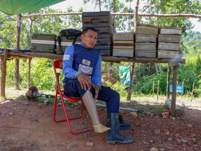 Link to International Day of Persons with Disabilities