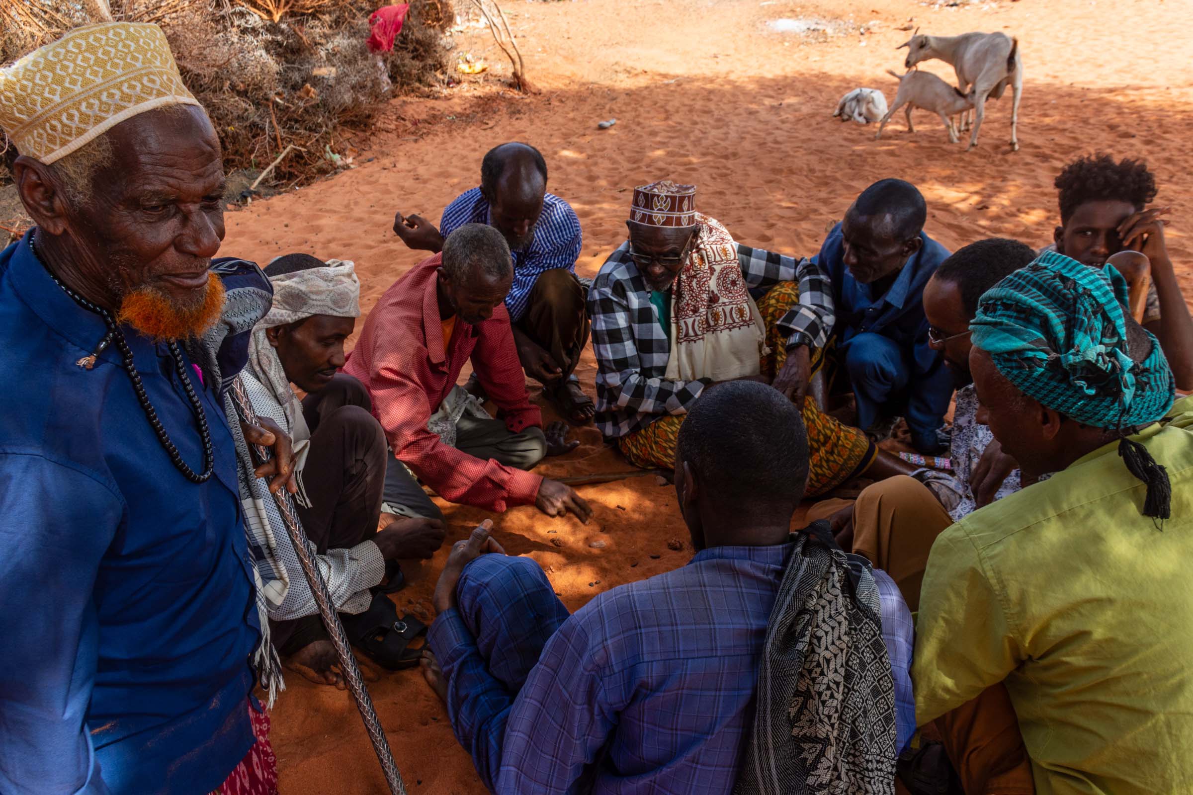 Habitat loss and restoration in Somaliland
