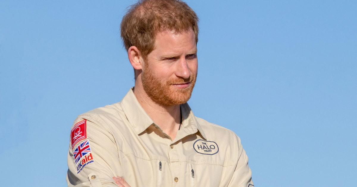 Prince Harry meets Angolan Foreign Minister The HALO Trust