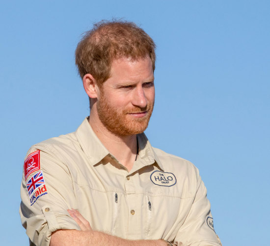 Prince Harry wears a HALO Trust shirt displaying the HALO and UK Aid Logos