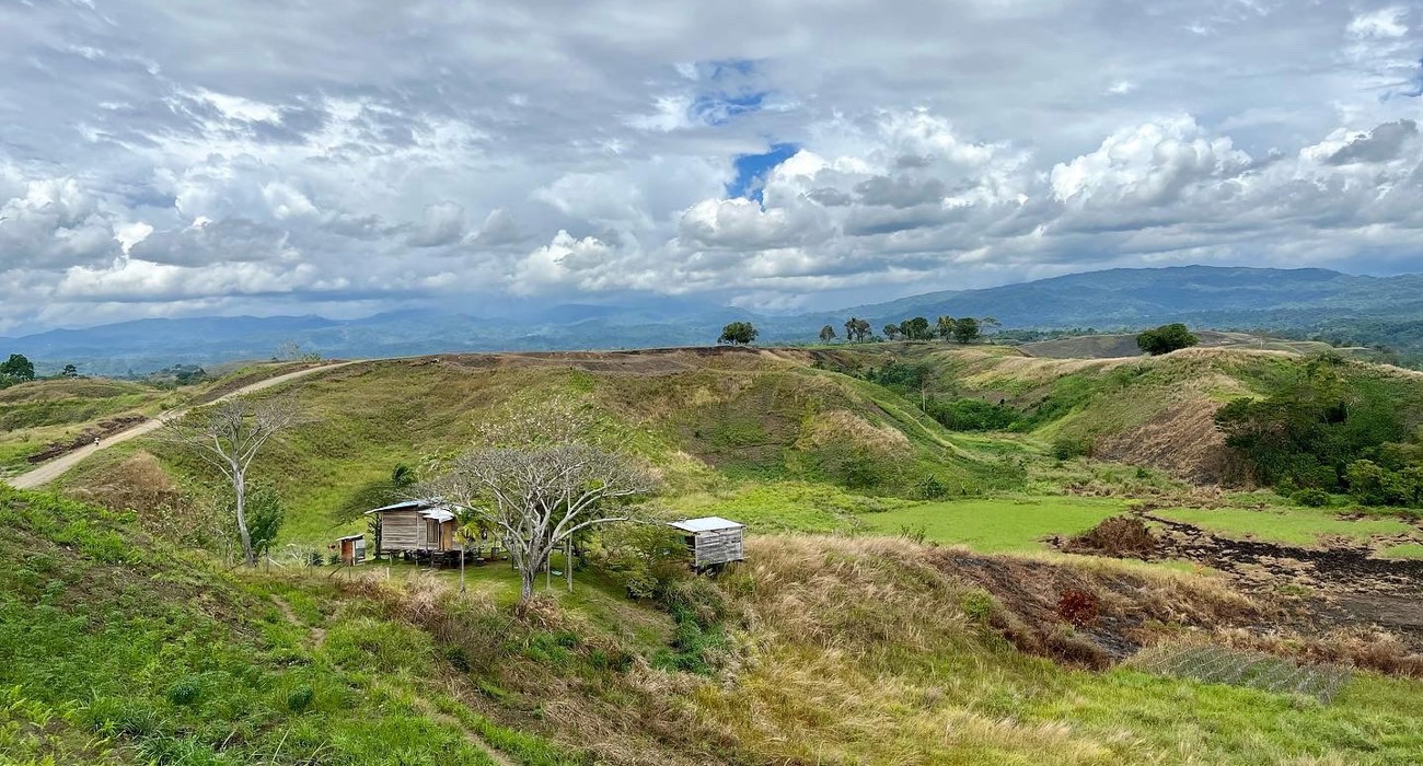 The never-cleared site of the Battle of Edson's Ridge in September 1942, Guadalacanal