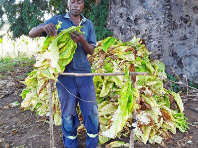 Link to World Food Day 2023
