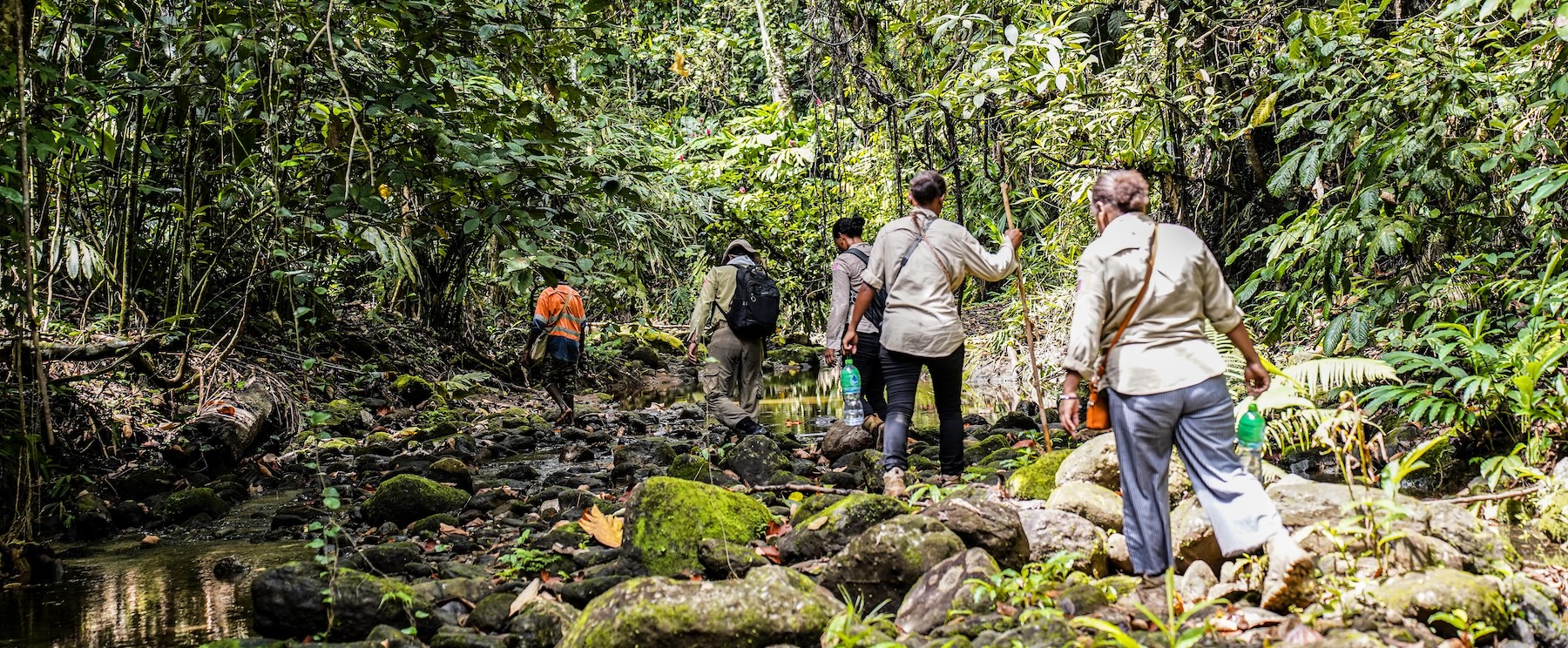 HALO staff walking through the jungle in the Solomon Islands