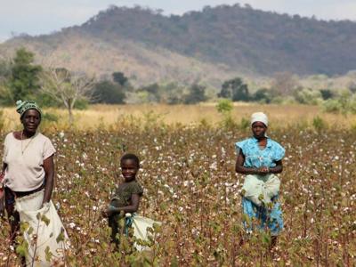 Link to Clearing mined borders in Mozambique