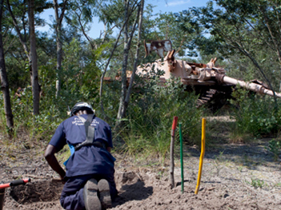 Link to Cuito Cuanavale, Angola