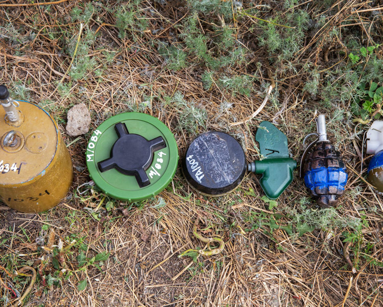 Mines and grenades found in Chkalovske Village lay on the grass