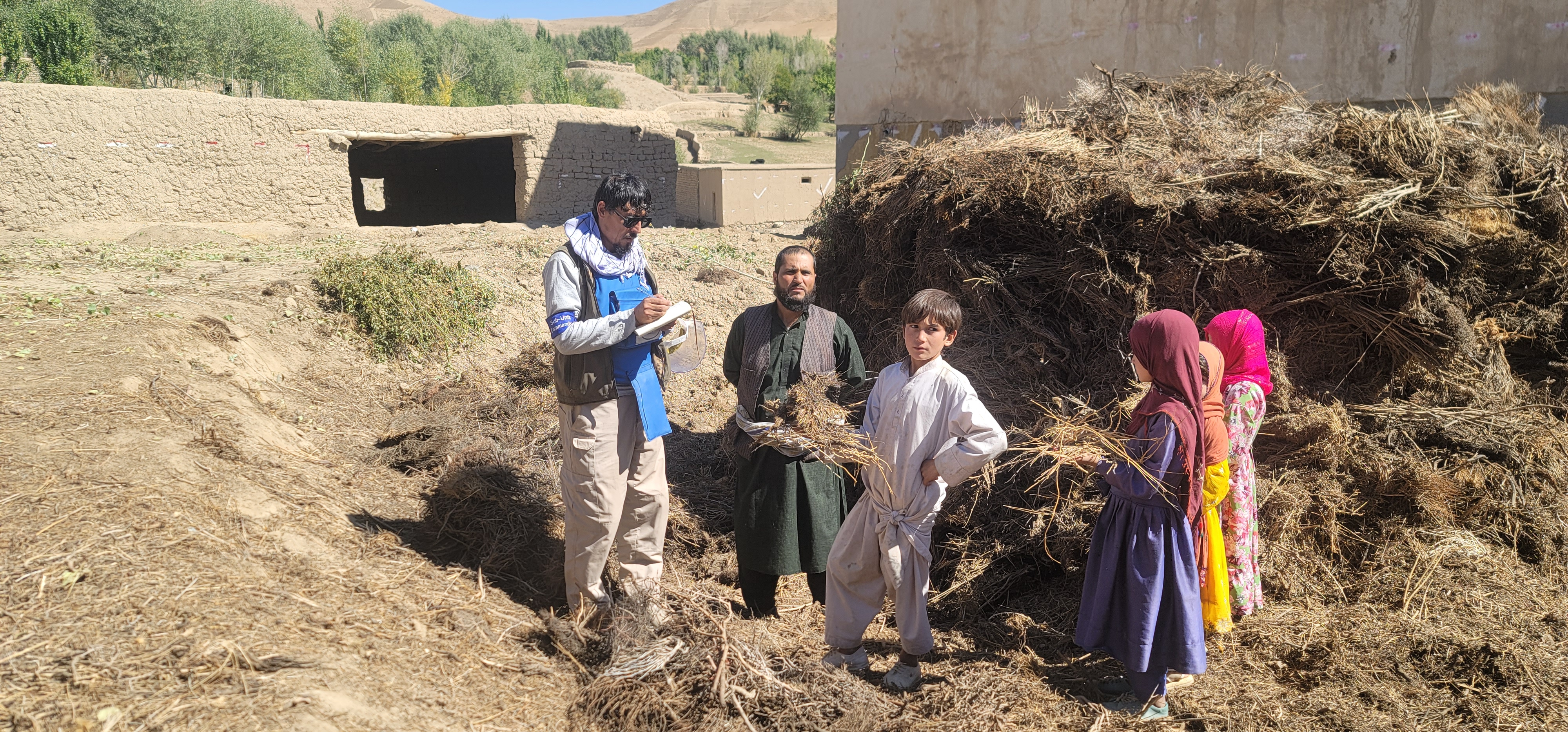 Clearance in Dahane