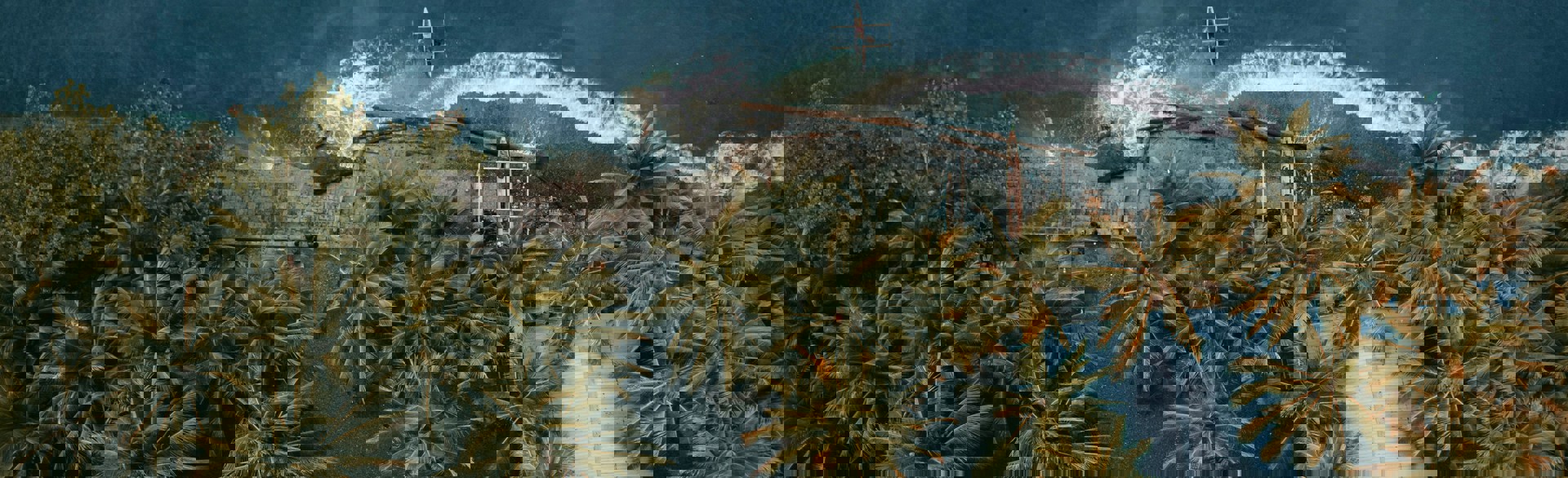 Aerial view of forest and ocean in Papua New Guinea