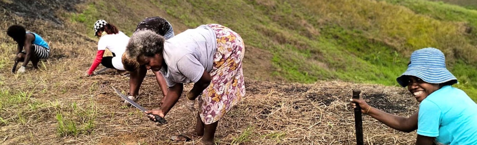 Local woman working on the fields with machetes