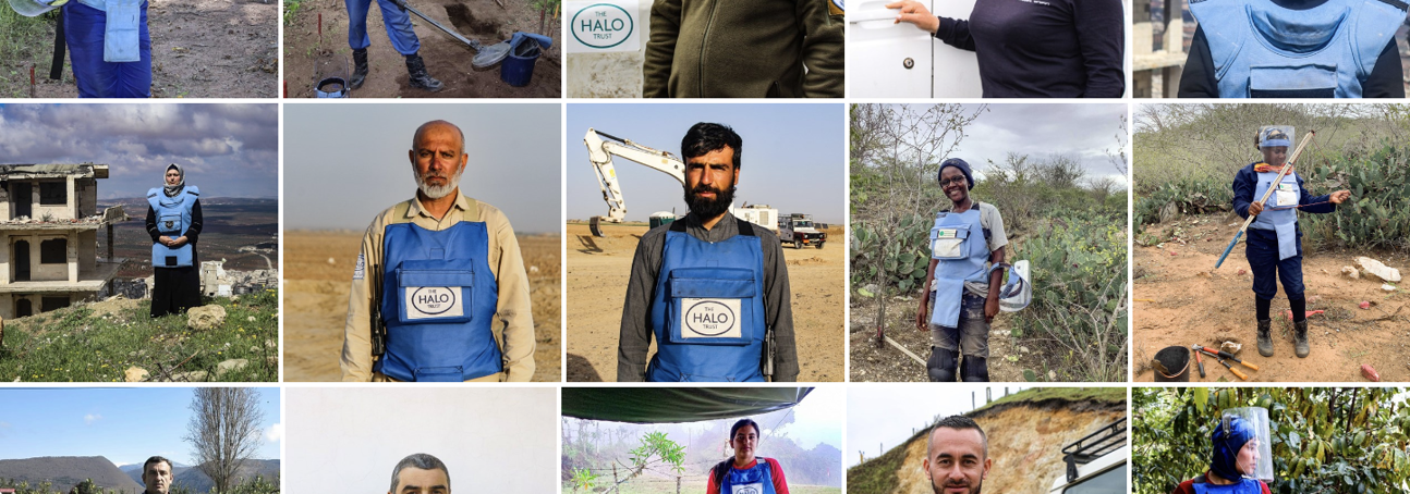 A collage of HALO staff around the world