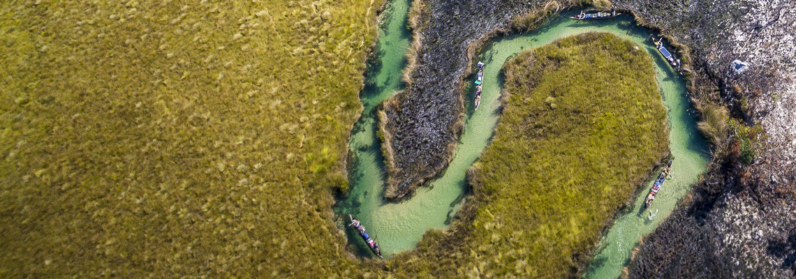 Protecting the environment