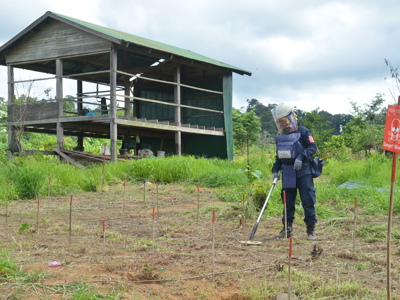 Link to Landmine clearance lifts family out of poverty