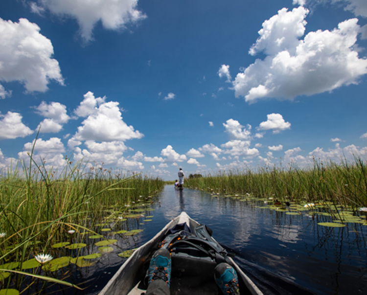 A boat floating through a river in Okavango
