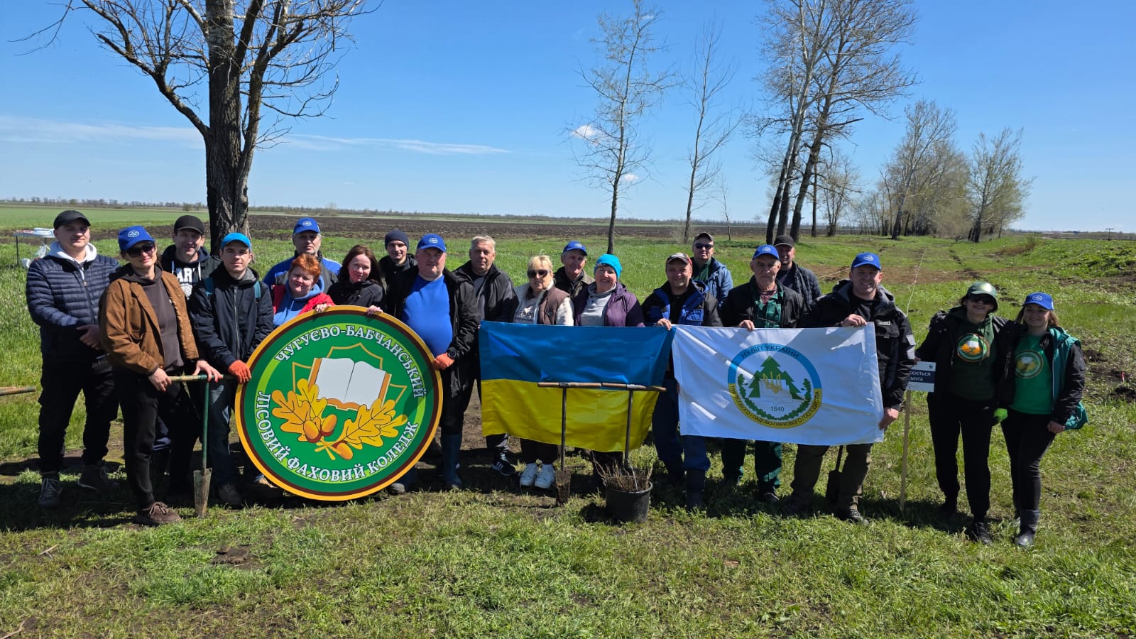 HALO Ukraine та WWF-Україна відновлюють лісосмуги
