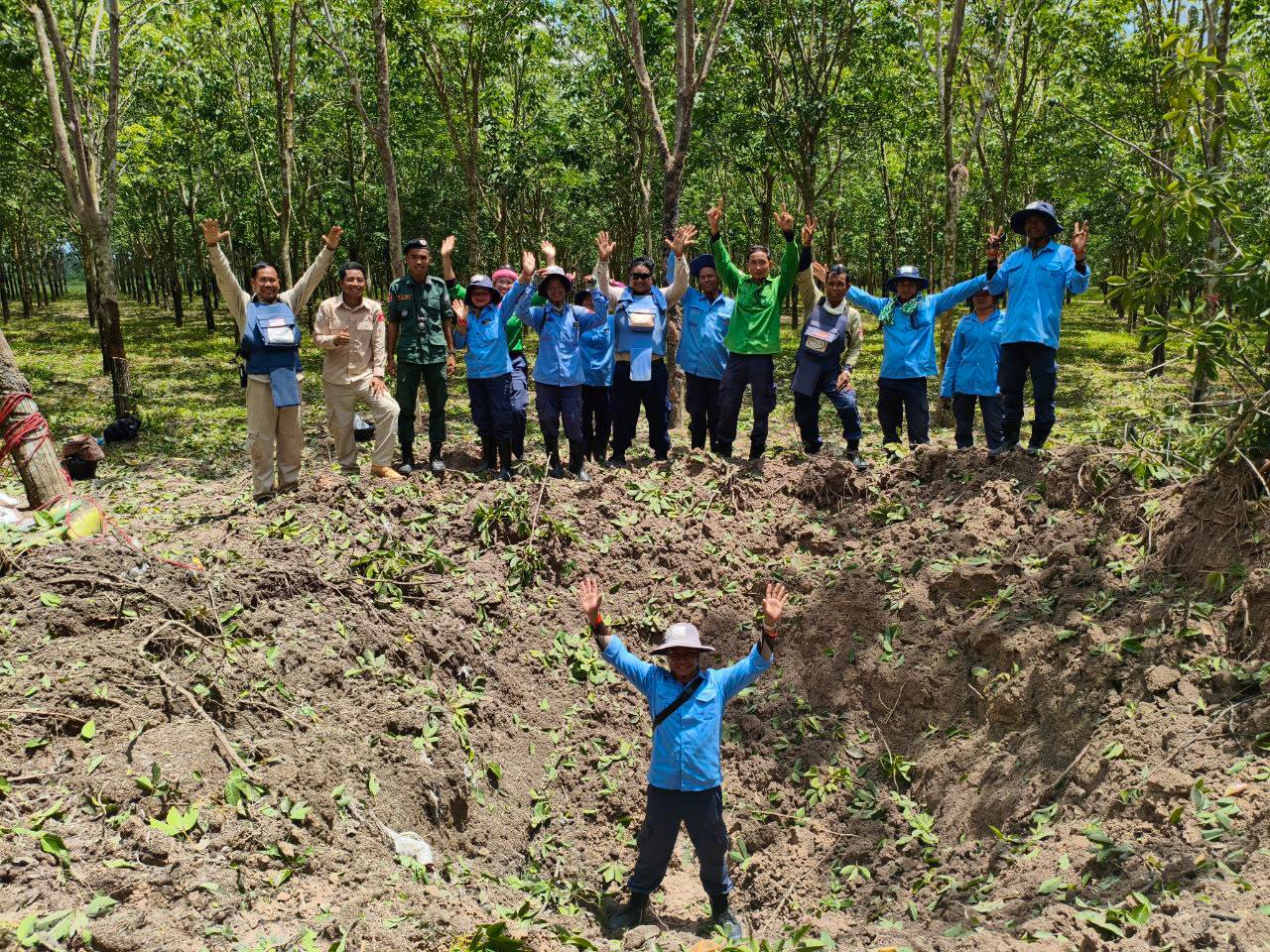 HALO staff raise their hands in celebration around a soil pit in the forest