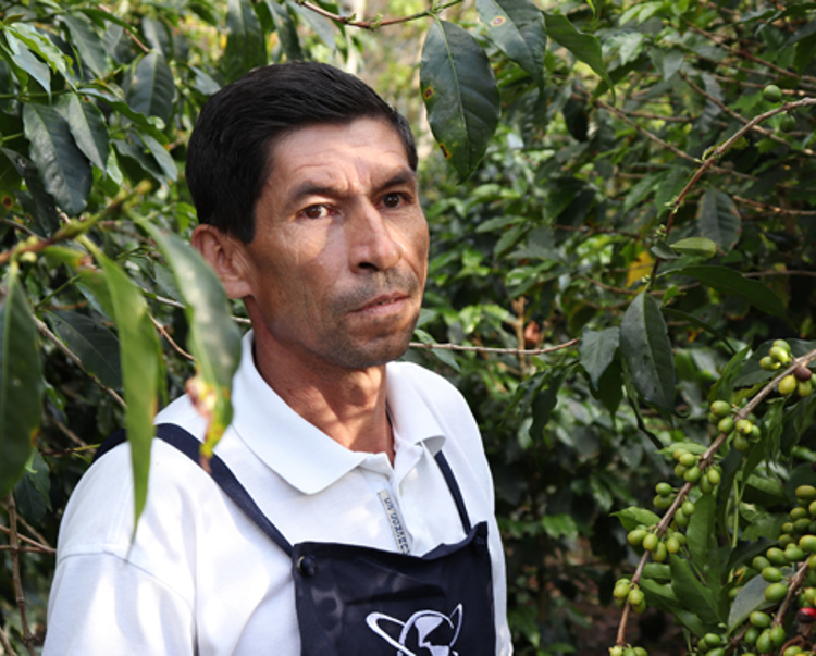 A Colombian farmer standing in a forest