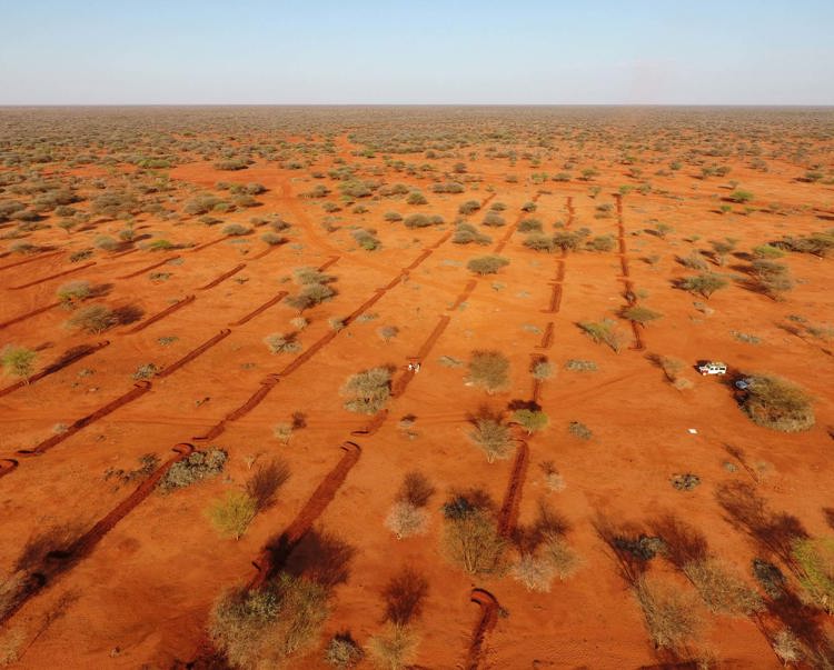Link to More on this Somaliland project