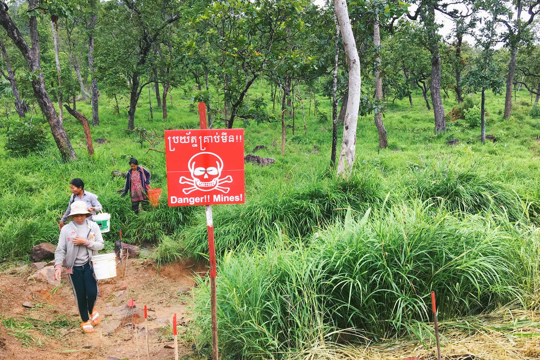 women-mushroom-foraging-cambodia-k5-halo-trust