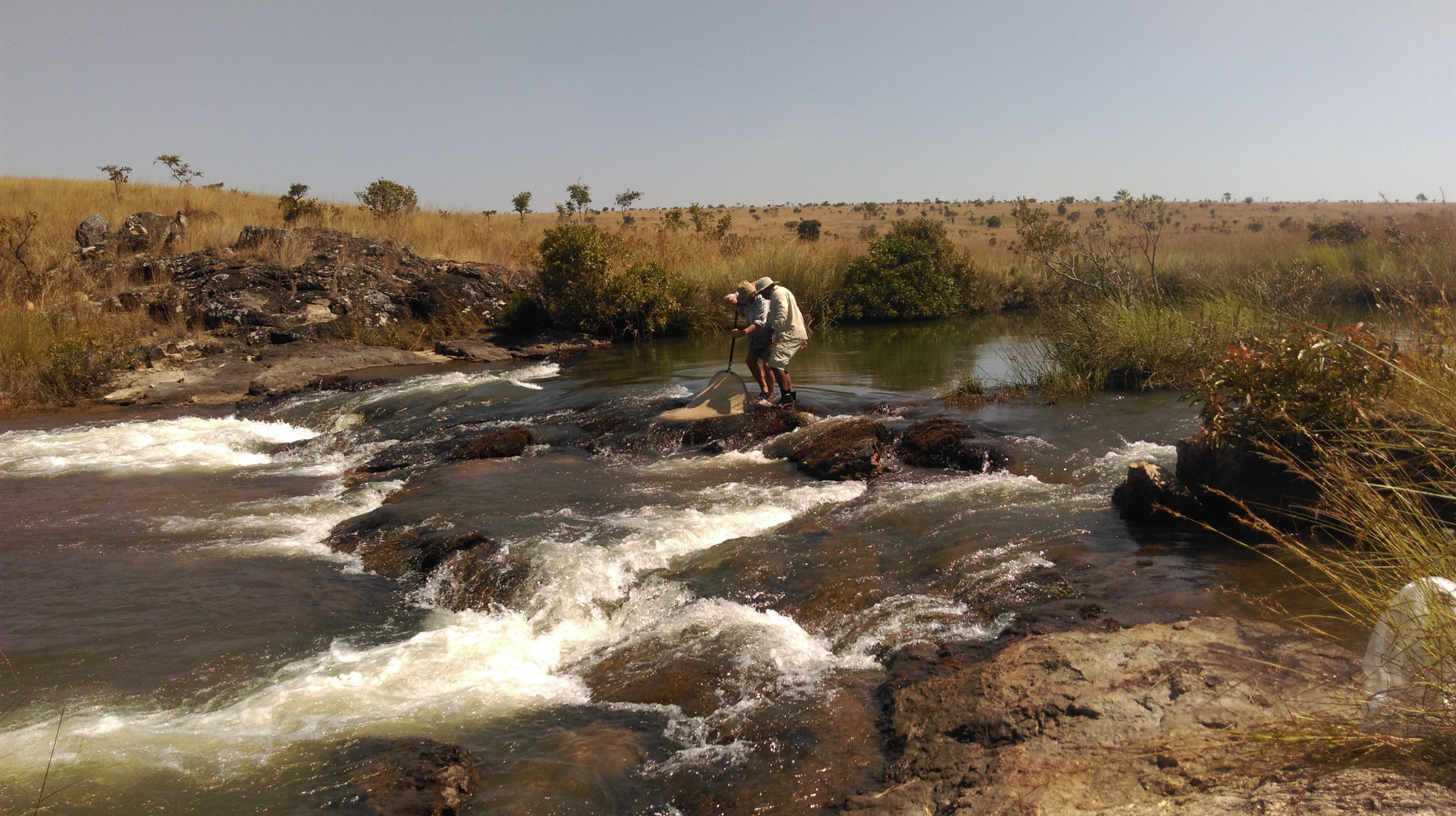 wilderness-project-2015-okavango-river-expedition-halo-trust