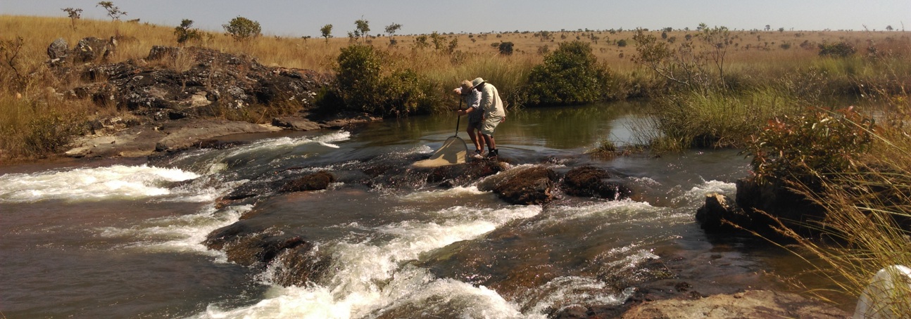 A man stands in the Okavango river holding a small fishing net 