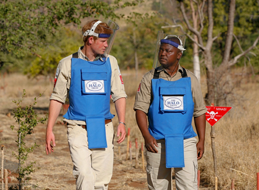 Prince-Harry-Halo-Trust-Tete-Province