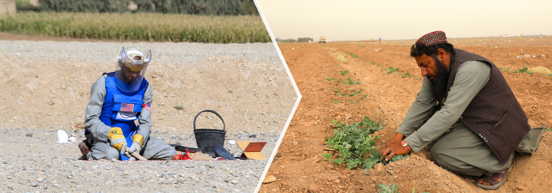 HALO deminer and beneficiary in Afghanistan. Banner created for MAD 2026 campaign 