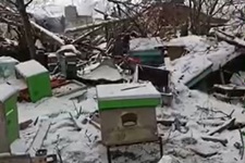 Частина пасіки після удару