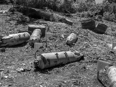 Link to A harvest of bombs