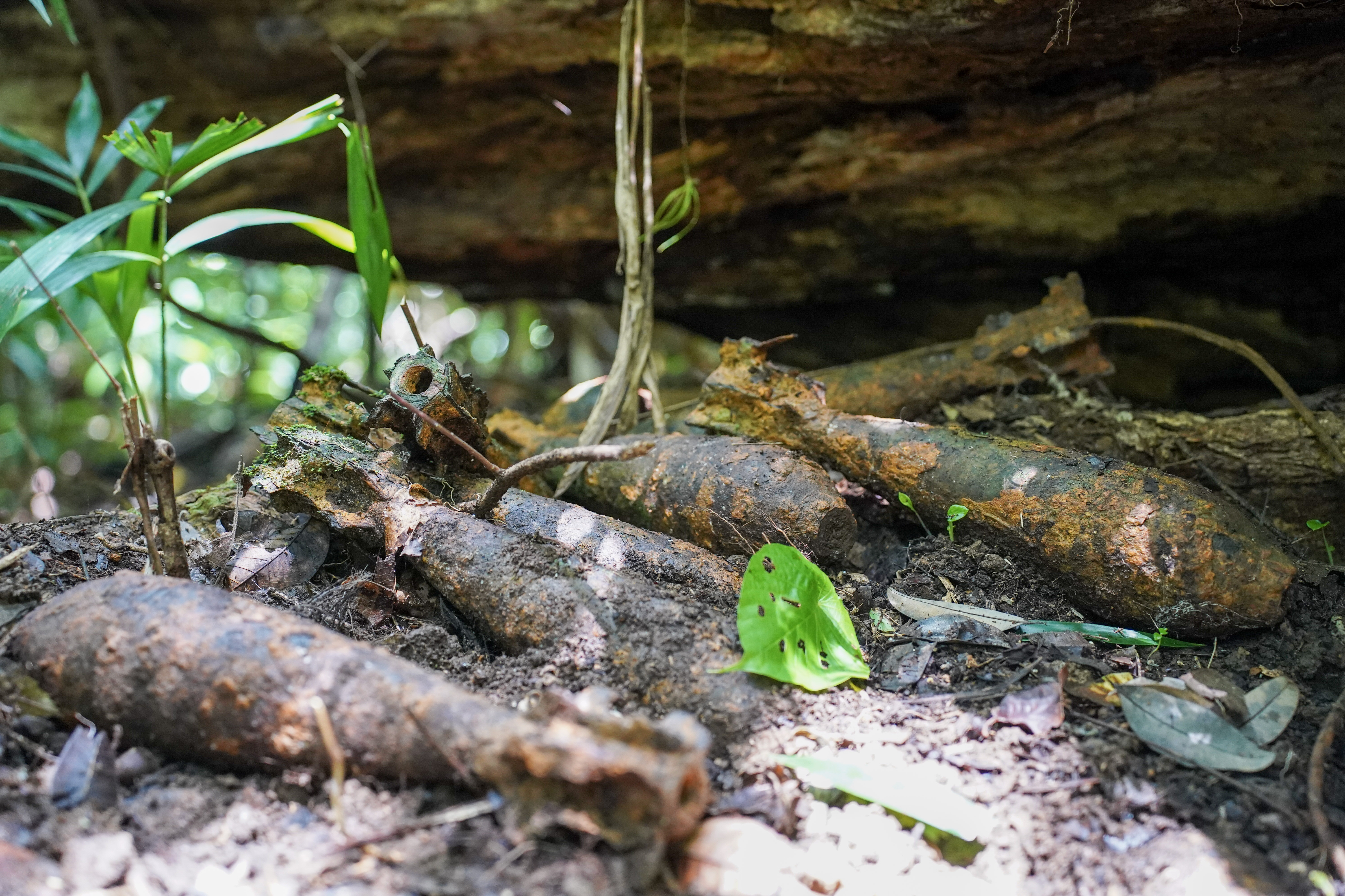 Rusting WW2 mortars in the Solomon Islands