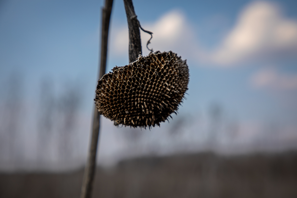farmer-alexander-kharkiv-region-ukraine-march-2023-halo-trust-16.jpg