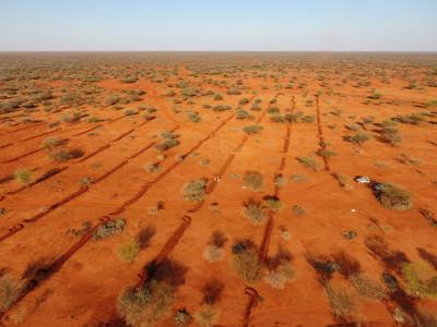 Link to Cultivating peace in the Horn of Africa