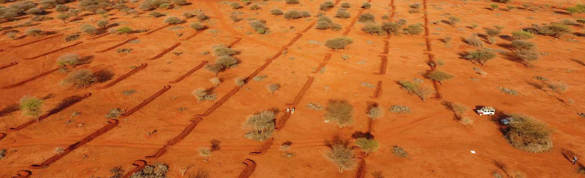 A drone image of a soil restoration project in a former minefield in the Horn of Africa