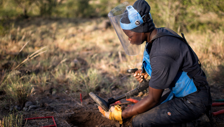 Guinea Bissau | The HALO Trust